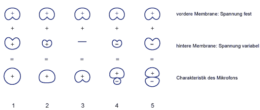 polarität doppelmembran